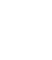 Stanford University