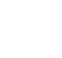 Syracuse University